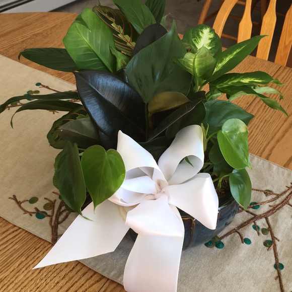 Meet your Posher, Lisa - Picture 1 of 1